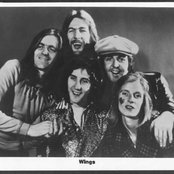 Wings - List pictures