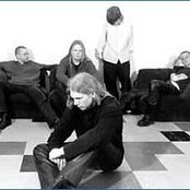 Bay Laurel - List pictures