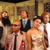 Dengue Fever - List pictures