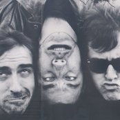 Macc Lads - List pictures