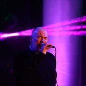 Fish - List pictures