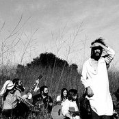 Edward Sharpe & The Magnetic Zeros - List pictures