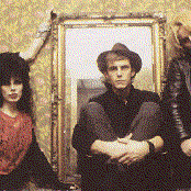 The Gun Club - List pictures