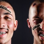 The Opposites - List pictures