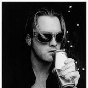 Baby Bird - List pictures