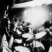 Boscoe - List pictures