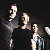 Oleander - List pictures