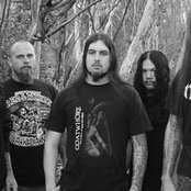 Disgorge - List pictures