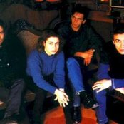 Silence 4 - List pictures