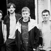 Wild Palms - List pictures