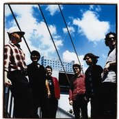 Lambchop - List pictures