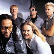 Tadpole - List pictures