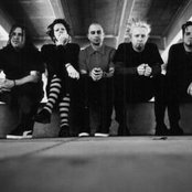 Cold - List pictures