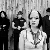 The Vincent Black Shadow - List pictures