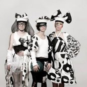 Chicks On Speed - List pictures