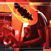 Papaya - List pictures