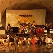 Bob Marley & The Wailers - List pictures