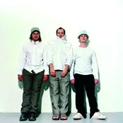 Sportfreunde Stiller - List pictures