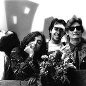 Dead Milkmen - List pictures