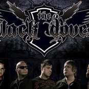 The Black Doves - List pictures