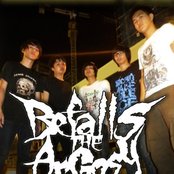 Befalls The Argosy - List pictures