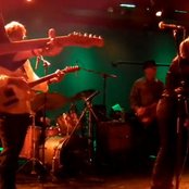 The Golden Palominos - List pictures