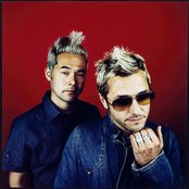 Feeder - List pictures