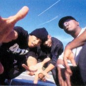 Onyx - List pictures