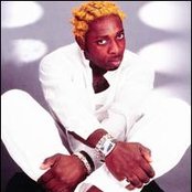 Elephant Man - List pictures