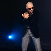 Pitbull - List pictures