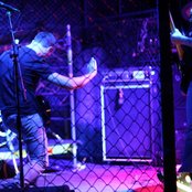 Old Major - List pictures