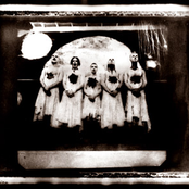 Sleepytime Gorilla Museum - List pictures