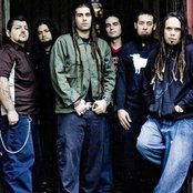 Ill Niño - List pictures