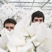 As Tall As Lions - List pictures