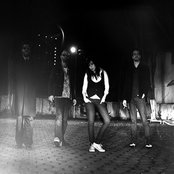 Pitty - List pictures