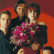 Olé Olé - List pictures