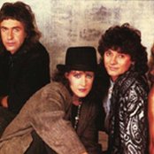 Starship - List pictures