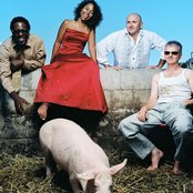 De-phazz - List pictures