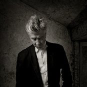 David Lynch - List pictures
