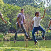 Boogarins - List pictures
