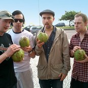 Millencolin - List pictures