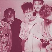 Trash Can Sinatras - List pictures