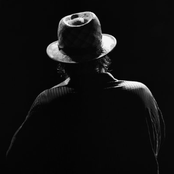 Stiller Has - List pictures