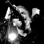 Iris - List pictures