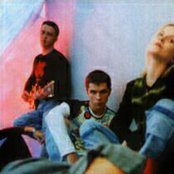 Total - List pictures