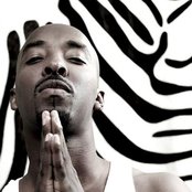 Dave Young - List pictures