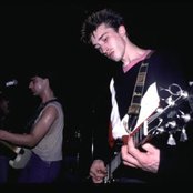 Chameleons - List pictures