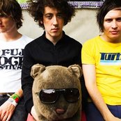 Wombats - List pictures