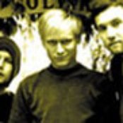 Buck - List pictures