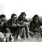 Talk Talk - List pictures